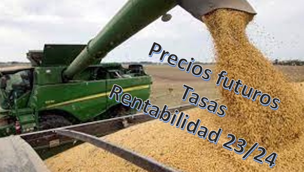 0001_Imagen_de_referencia_13-03-2024